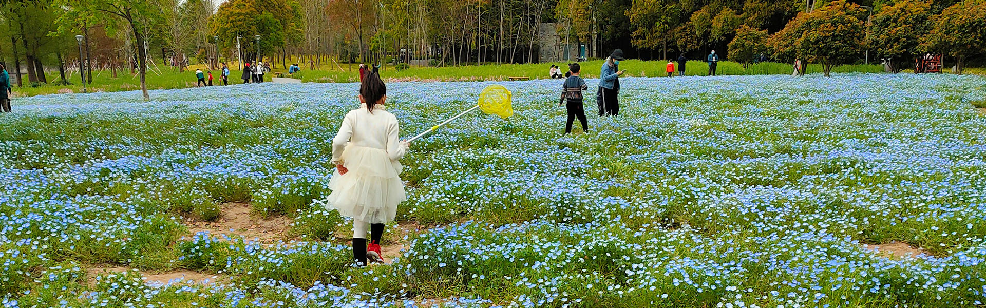 职业卫生技术服务